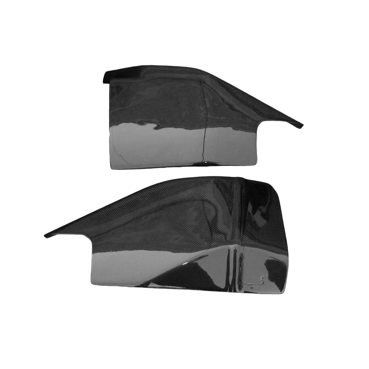 Swing arm cover GSX-R1000 K5,6 2005-2006 PASCALPLAST